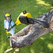 Best Stump Grinding and Removal  in Machesney Park, IL